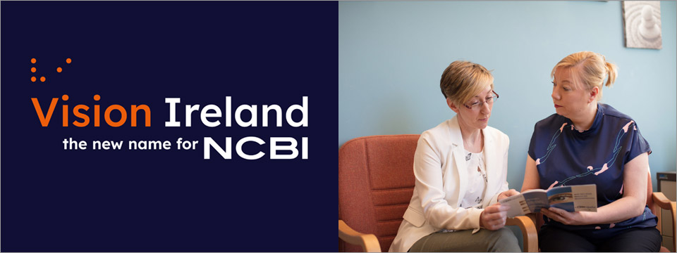 Vision Ireland logo next to an image of one person giving advise to another.